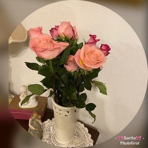 Meet your Posher, Sara